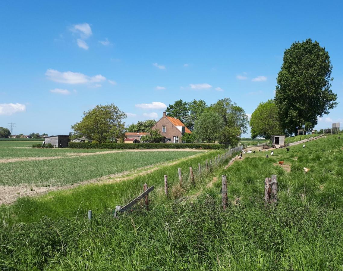 “In Oans Oefje” Parel In De Polder! Apartment Lewedorp Bagian luar foto