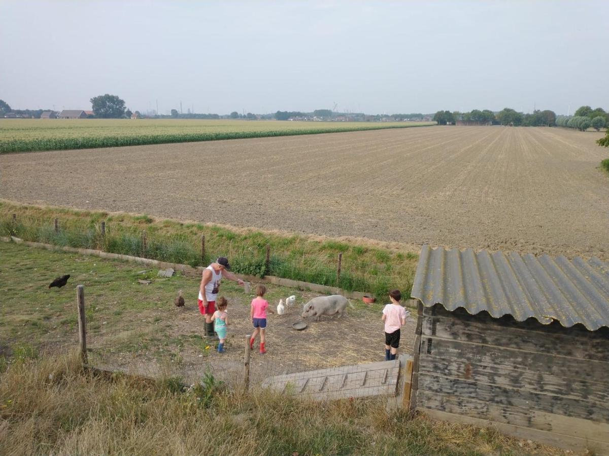 “In Oans Oefje” Parel In De Polder! Apartment Lewedorp Bagian luar foto