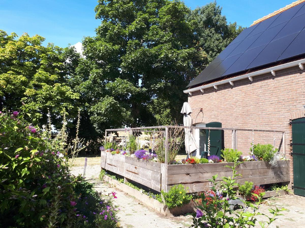 “In Oans Oefje” Parel In De Polder! Apartment Lewedorp Bagian luar foto