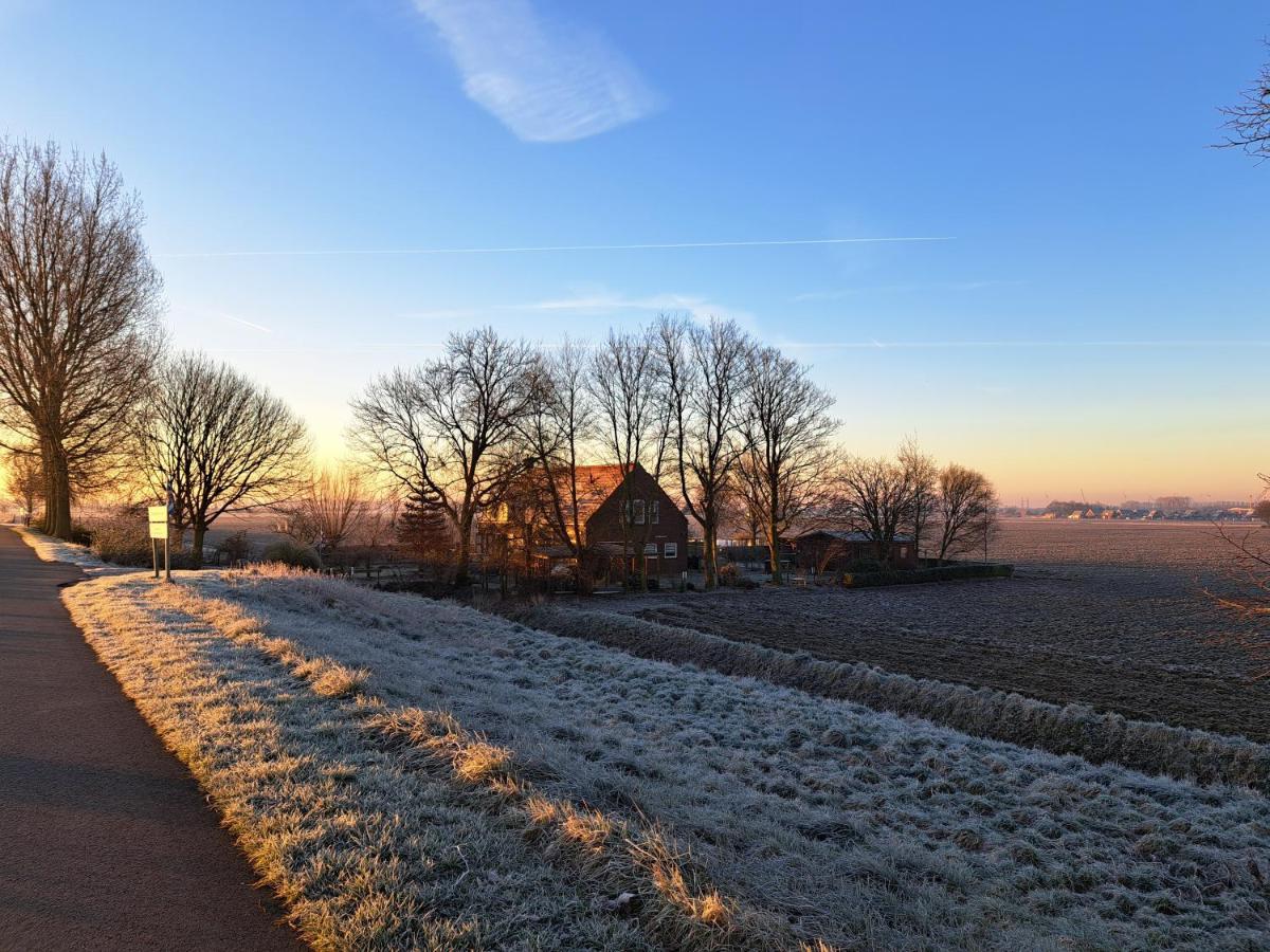 “In Oans Oefje” Parel In De Polder! Apartment Lewedorp Bagian luar foto